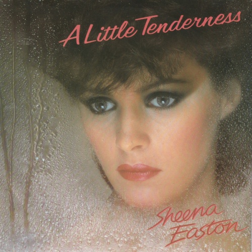 Vinyl / Sheena Easton - A Little Tenderness