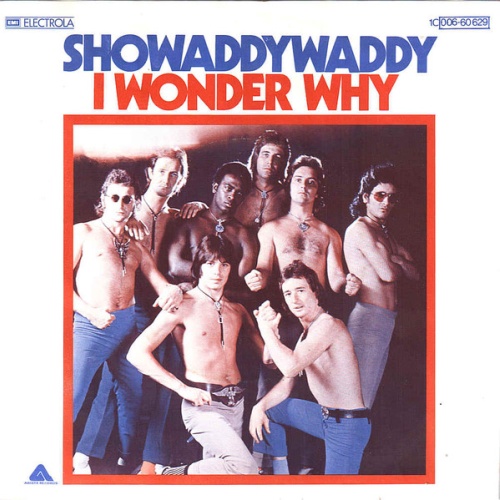 Vinyl / Showaddywaddy - I Wonder Why