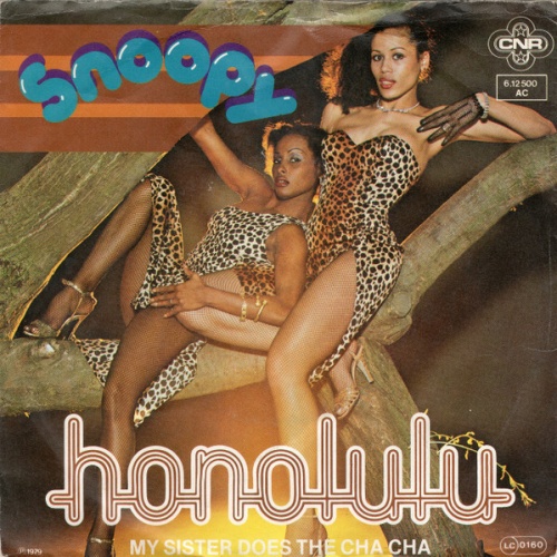 Vinyl / Snoopy (3) - Honolulu