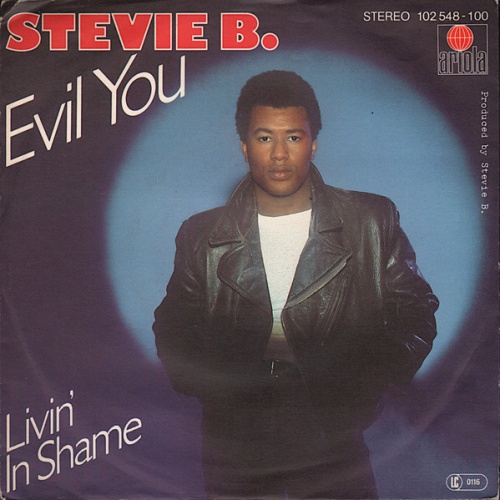 Vinyl / Stevie B. - Evil You