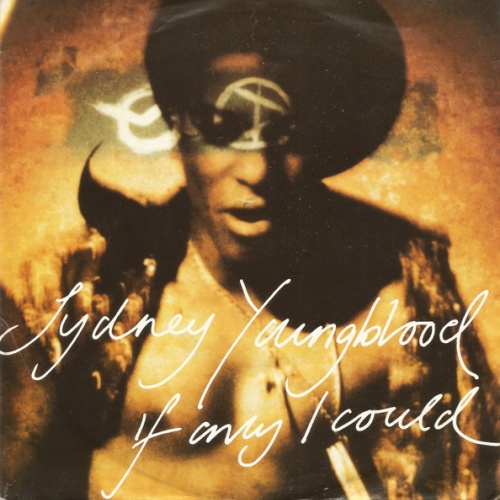 Vinyl / Sydney Youngblood - If Only I Could