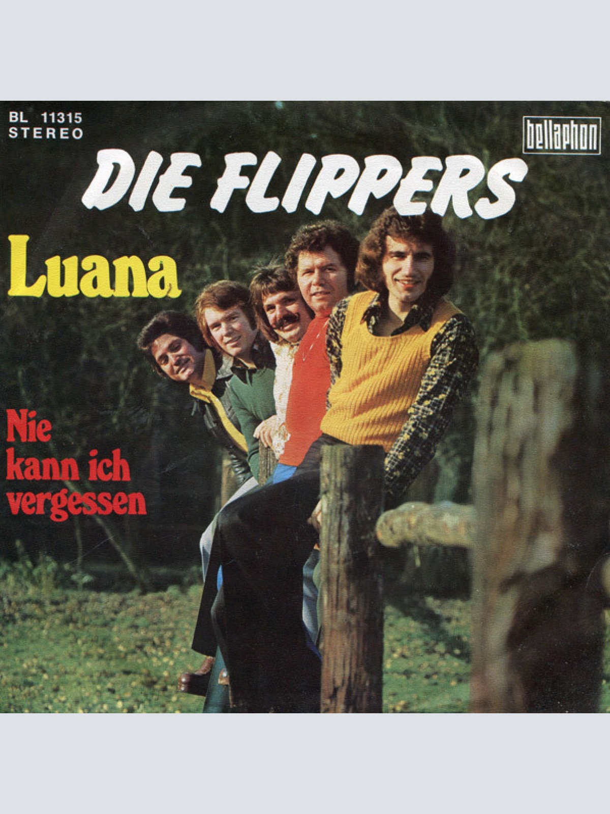 Vinyl / Die Flippers - Luana