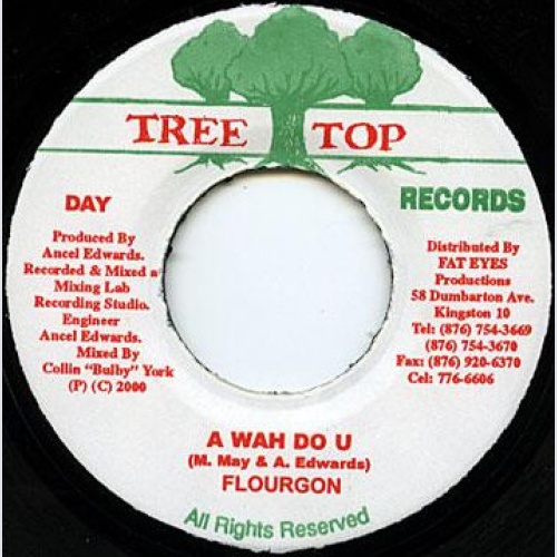 Vinyl / Flourgon - A Wah Do U