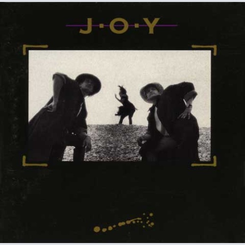 Vinyl / Joy (9) - Joy