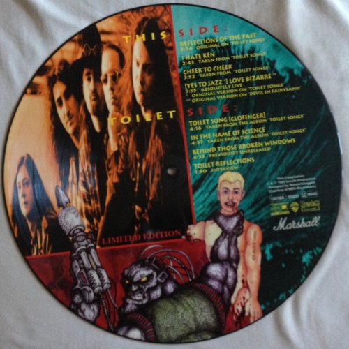 Vinyl / Schubert (3) - Toilet Reflections