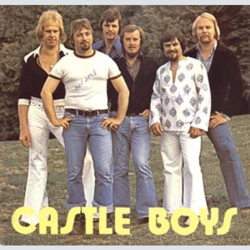Vinyl / Castle Boys - Sunny / Die Welt Ist Wunderschön