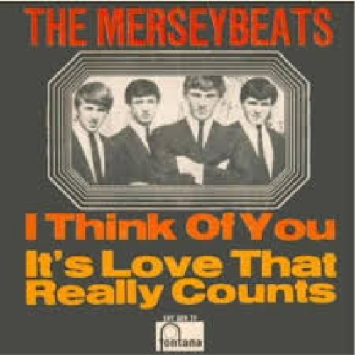 Vinyl / The Merseybeats - I Think Of You / It's Love That Really Counts