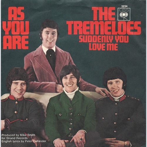 Vinyl / The Tremeloes - As You Are