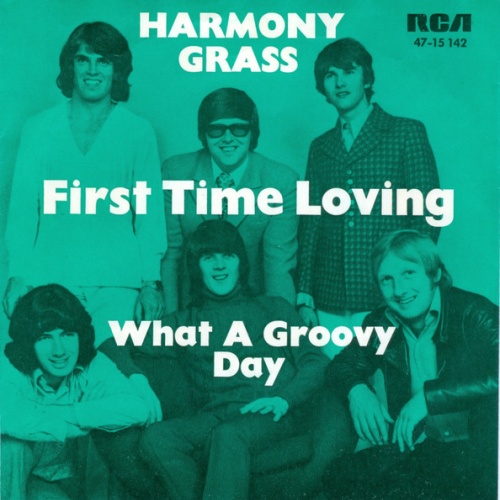 Vinyl / Harmony Grass - First Time Loving