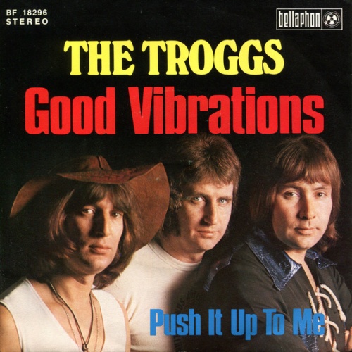 Vinyl / The Troggs - Good Vibrations