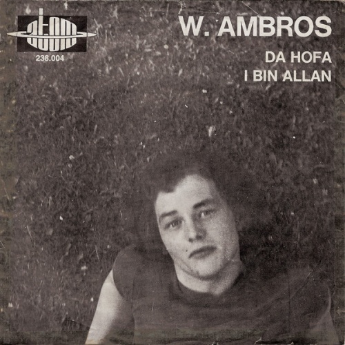 Vinyl / W. Ambros* - Da Hofa / I Bin Allan