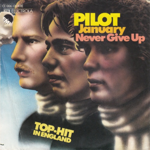 Vinyl / Pilot - January