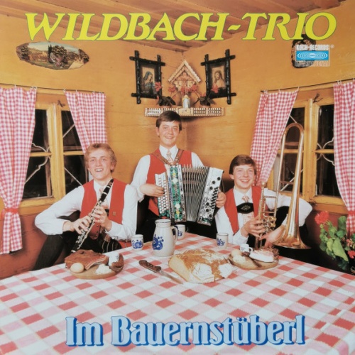 Vinyl / Wildbach~Trio* - im Bauernstüberl