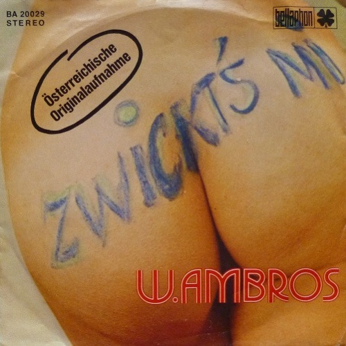 Vinyl / W. Ambros* - Zwickt's Mi