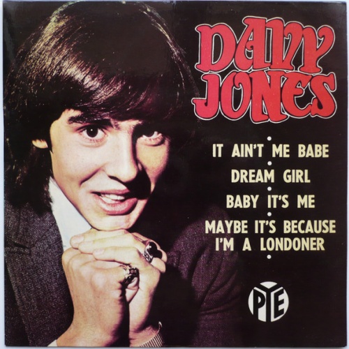 Vinyl / Davy Jones - It Ain't Me Babe