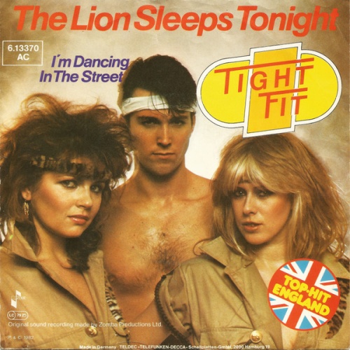 Vinyl / Tight Fit - The Lion Sleeps Tonight