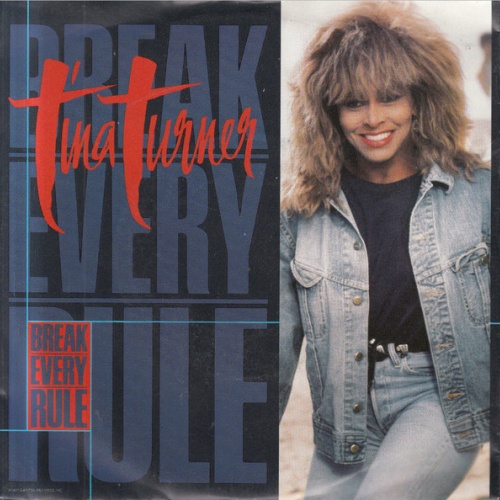 Vinyl / Tina Turner - Break Every Rule