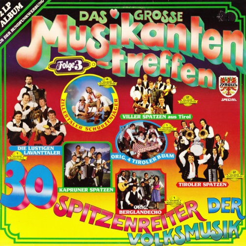 Vinyl / Various - Das Grosse Musikantentreffen (Folge 3) (30 Spitzenreiter Der Volksmusik)