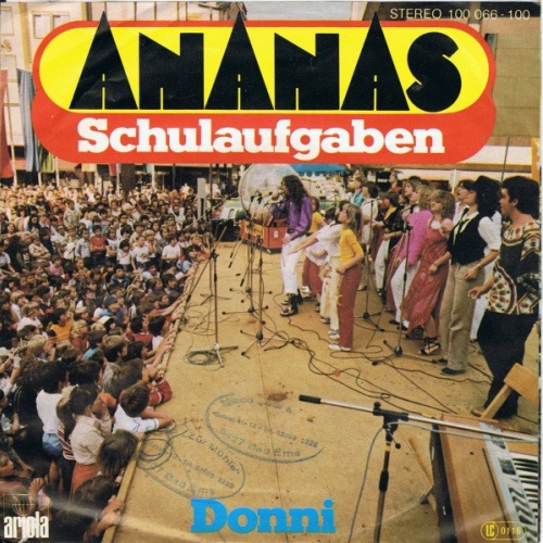 Vinyl / Ananas (2) - Schulaufgaben