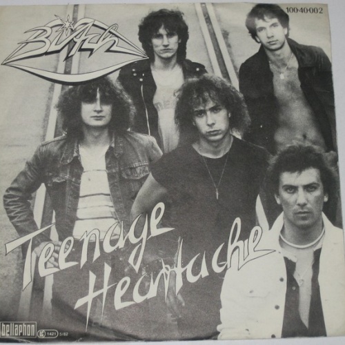 Vinyl / Bitch (8) - Teenage Heartache