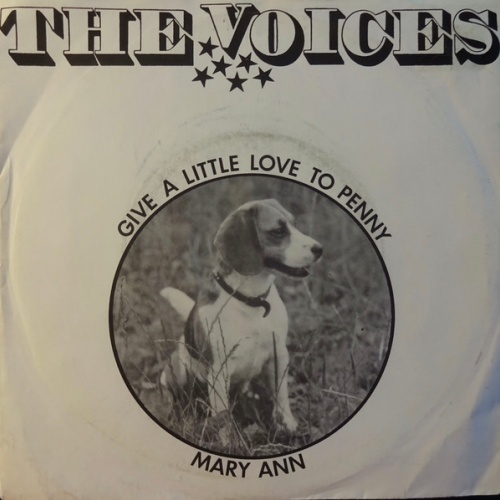 Vinyl / The Voices (35) - Give A Little Love To Penny