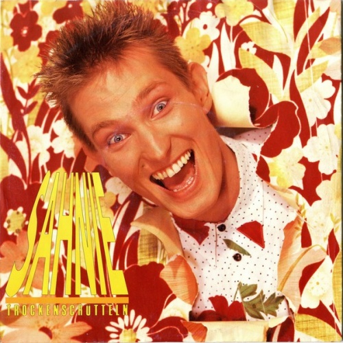 Vinyl / Sahnie - Trockenschütteln