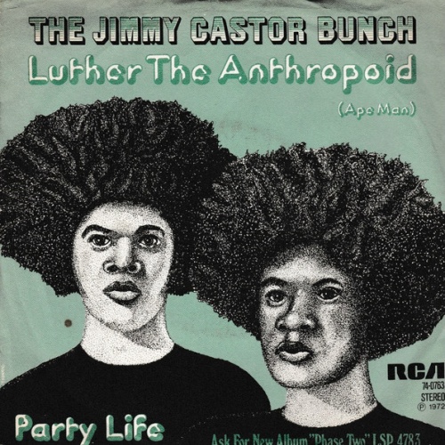 Vinyl / The Jimmy Castor Bunch - Luther The Anthropoid (Ape Man)