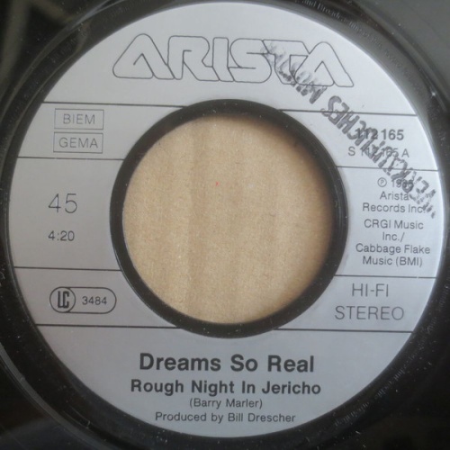 Vinyl / Dreams So Real - Rough Night In Jericho
