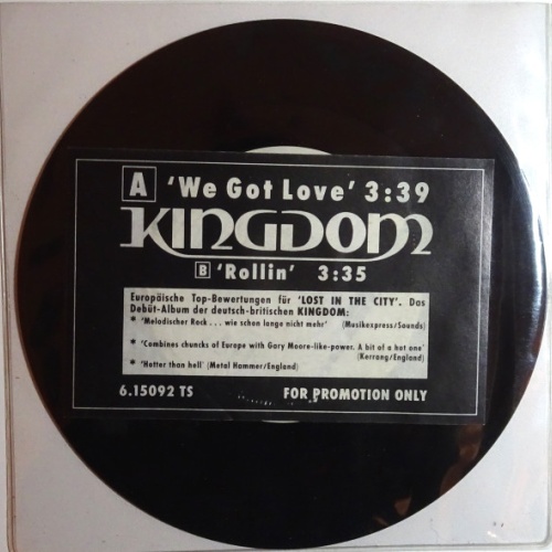 Vinyl / Kingdom (14) - We Got Love