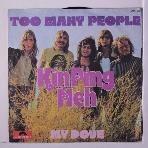 Vinyl / Kin Ping Meh - Too Many People