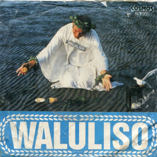 Vinyl / Waluliso - Waluliso
