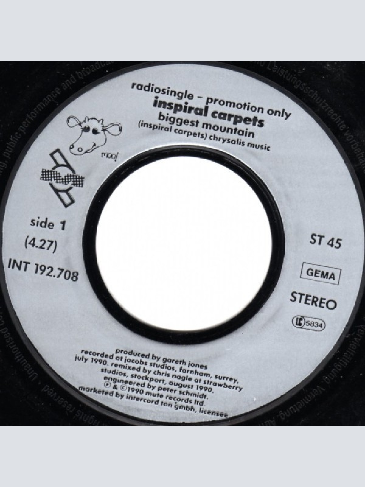 Vinyl / Inspiral Carpets - Biggest Mountain