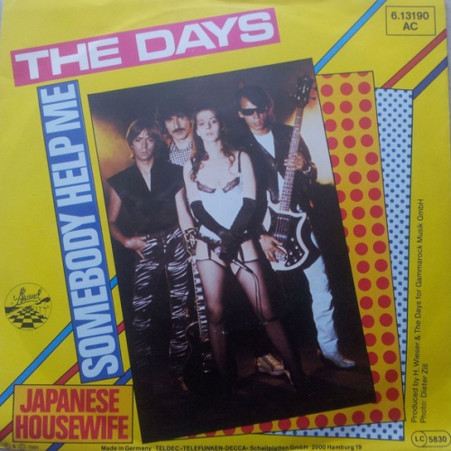 Vinyl / The Days - Somebody Help Me