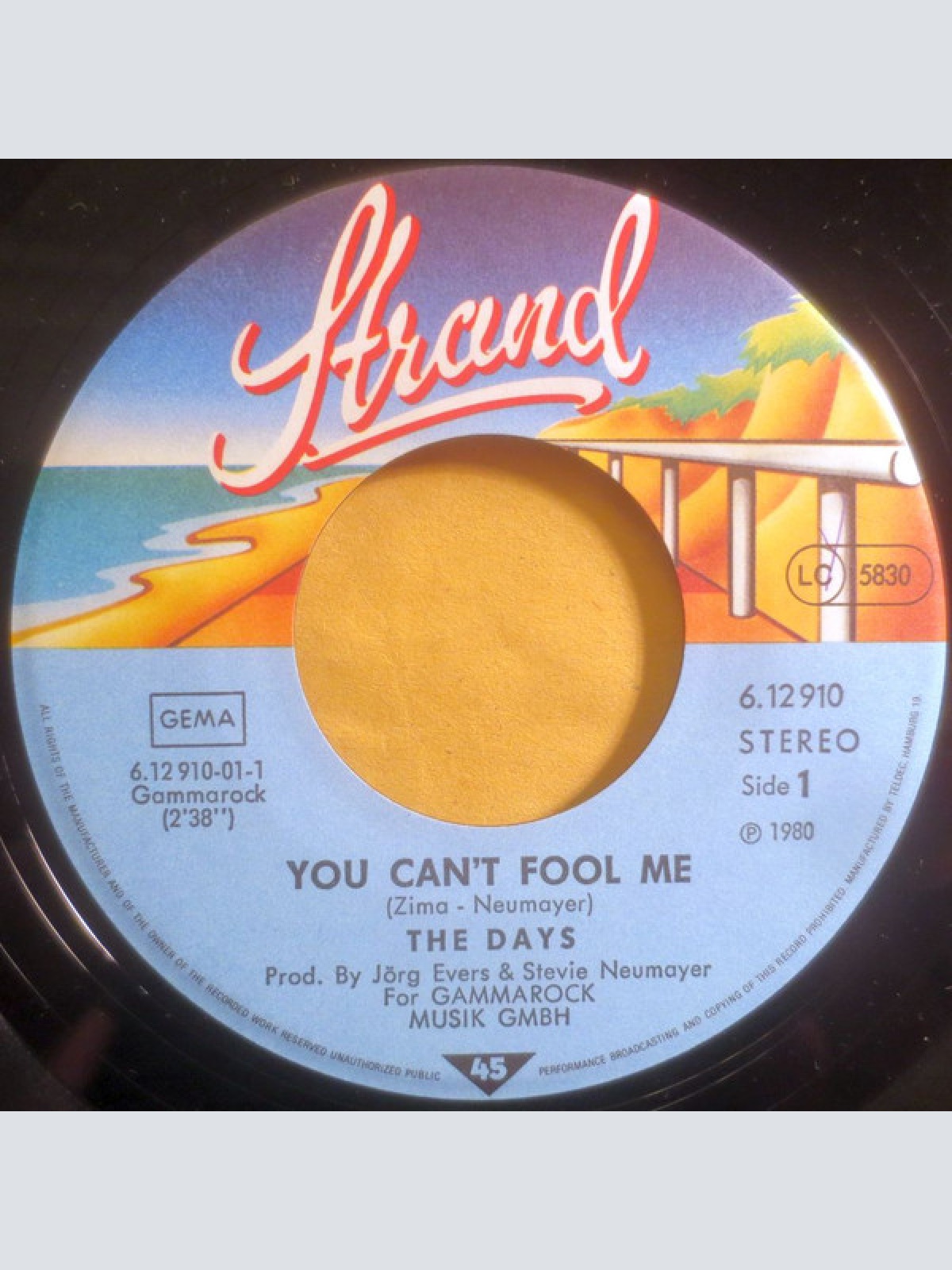 Vinyl / The Days - You Can't Fool Me