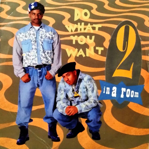 Vinyl / 2 In A Room - Do What You Want