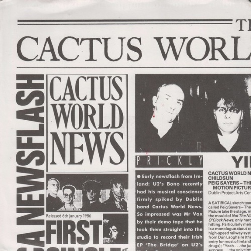 Vinyl / Cactus World News - Years Later