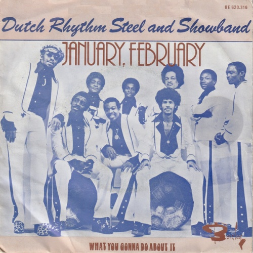 Vinyl / Dutch Rhythm Steel And Showband* - January, February