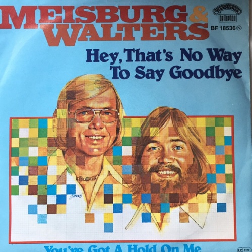 Vinyl / Meisburg & Walters - Hey, That's No Way To Say Goodbye