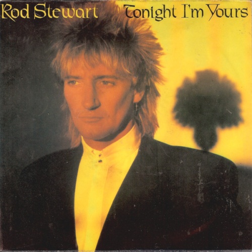 Vinyl / Rod Stewart - Tonight I'm Yours