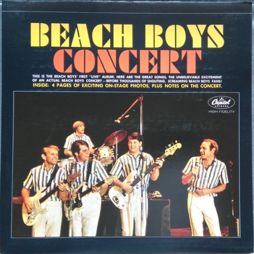 Vinyl / The Beach Boys - Concert