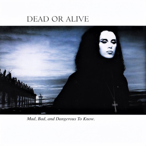 Vinyl / Dead Or Alive - Mad, Bad And Dangerous To Know