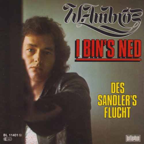 Vinyl / W. Ambros* - I Bin's Ned