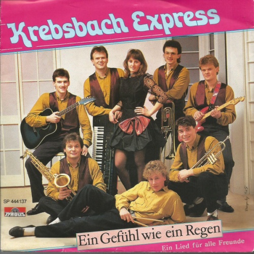 Vinyl / Krebsbach Express - Ein Gefühl Wie Ein Regen