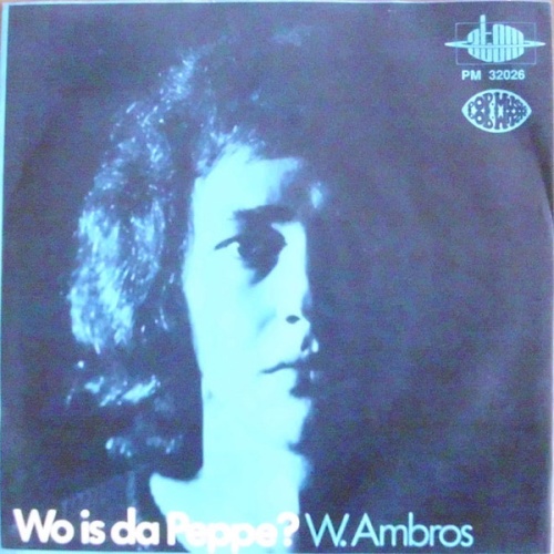 Vinyl / W. Ambros* - Kagran