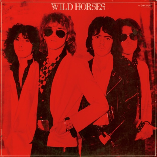 Vinyl / Wild Horses - The First Album