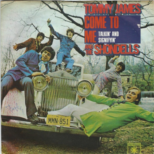 Vinyl / Tommy James & The Shondells - Come To Me