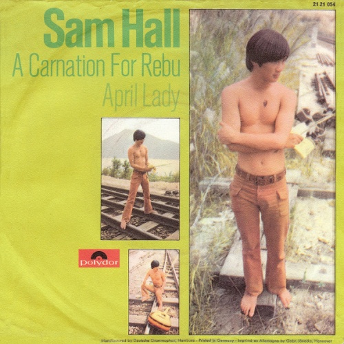 Vinyl / Sam Hall (4) - A Carnation For Rebu