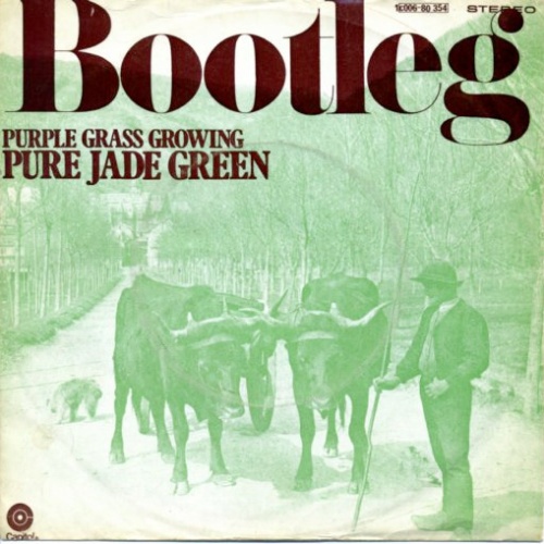 Vinyl / Pure Jade Green - Bootleg