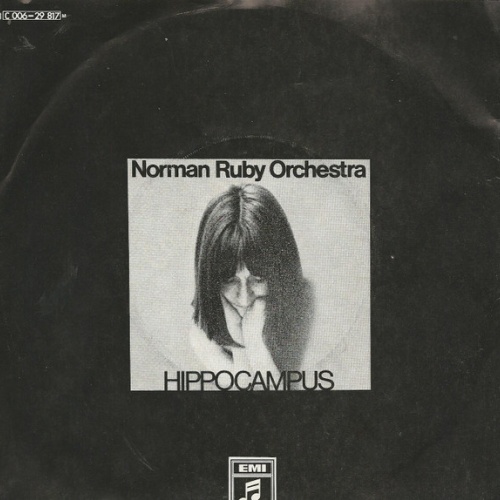 Vinyl / Norman Ruby Orchestra - Hippocampus