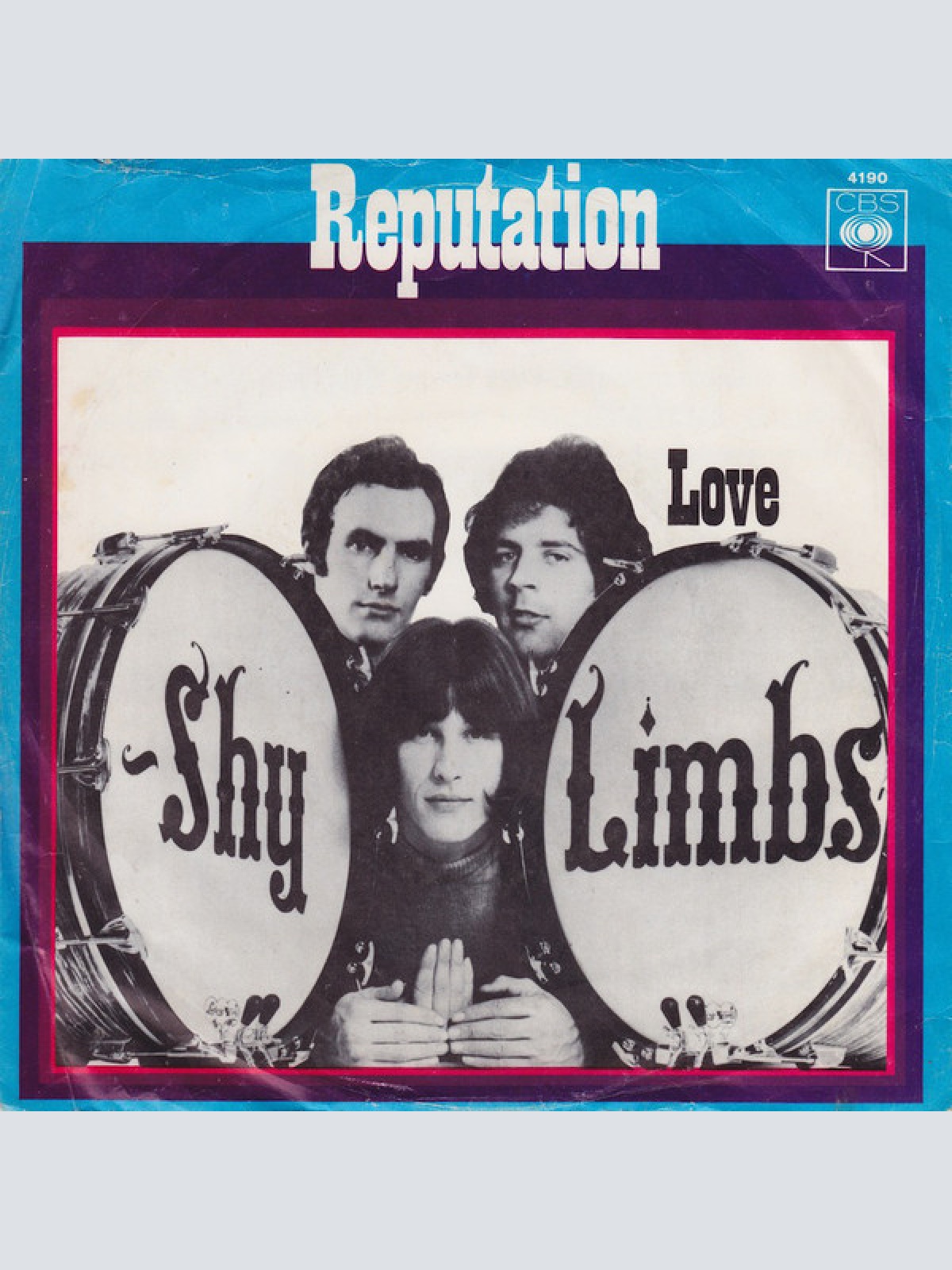 Vinyl / Shy Limbs - Reputation